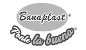 Banaplast